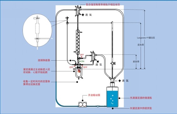 gl2离体心脏灌流系统