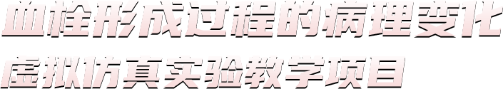 血栓形成过程的病理变化虚拟仿真实验教学