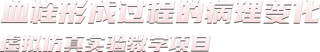 血栓形成过程的病理变化虚拟仿真实验教学